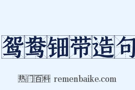 鸳鸯钿带造句是什么意思的图片